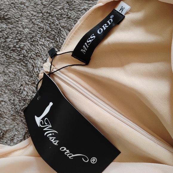 Miss Ord Lantern Sleeve Sequin Fringe Dress - Picture 3 of 8